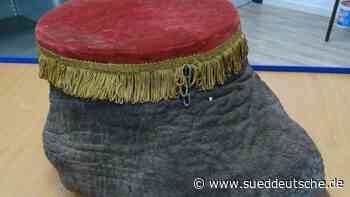 Kriminalität - Bonn - Zollbeamte finden echten Elefantenfuß in Post - Panorama - SZ.de - Süddeutsche Zeitung - SZ.de