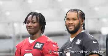 Bird Droppings: Arizona Cardinals look to bust Baltimore Ravens streak, Marquise Brown wants to feel like par… - Revenge of the Birds