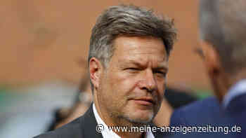 Habeck erteilt Kubicki-Vorschlag Absage: „Wäre ein dramatischer Fehlschlag“