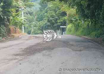 ¡De pena ajena! Exhiben pésimo estado de carretera Xalapa-Misantla-Naolinco - Imagen de Veracruz
