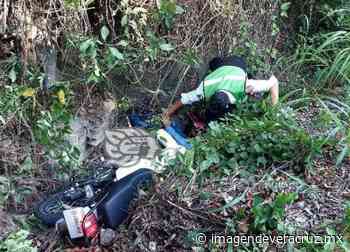 Motociclista sufre accidente en la Misantla-Martínez de la Torre - Imagen de Veracruz