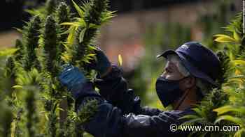 How to end the war on drugs in a country synonymous with drugs