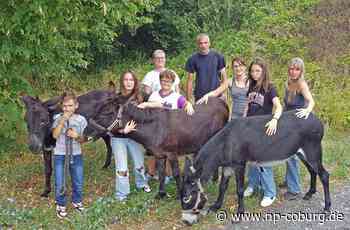 Zwischenstopp: Ebern - Esel auf Deutschland-Tour - Neue Presse Coburg