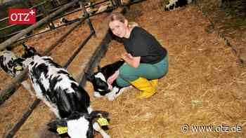 Eisenberger Volksbank-Azubis helfen im Stall