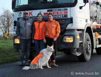 Van opritten en rioleringen leggen naar ruim-en ontstoppingsdienst oprichten in Zwalm - NUUS