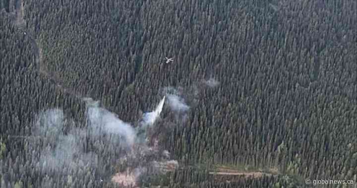 North Okanagan wildfire, east of Armstrong, downsized to 3 hectares from 10 - Global News