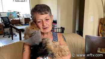 ‘It was a mess’: Consumer claims sick puppy wasn’t full breed she paid for - WFTV Orlando