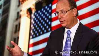 Consumer group issues alert over BlackRock's woke crusade: 'No regard for American families' - Fox Business