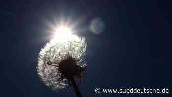 Wetter - Essen - Neue Woche wird wieder warm - Panorama - Süddeutsche Zeitung - SZ.de