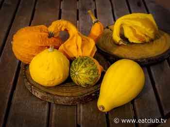 Warum man Zierkürbisse auf keinen Fall essen sollte? - EAT CLUB