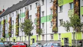 Essen: Fassadenbegrünung an Gladbecker Straße vertrocknet - WAZ News