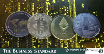 Cryptocurrency: Police hunt for wallets, not money laundering - The Business Standard