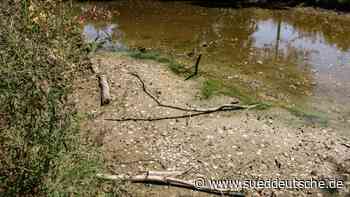 Dachau: Dürre lässt die Bäche austrocknen - Süddeutsche Zeitung - SZ.de