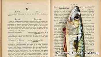 Steckerlfisch im Buchstabenkleid - Süddeutsche Zeitung - SZ.de