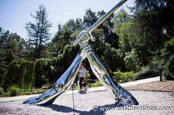 Montalvo Arts Center breaks barriers with new outdoor exhibit - East Bay Times