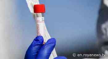 Palestine records 795 new coronavirus cases, one death - Roya News English