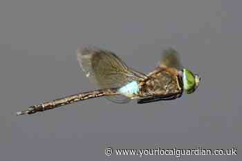 Wild Things: Do your part to keep the countryside safe