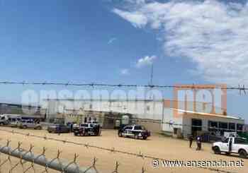 Balacera en empaque durante un asalto este sábado - Ensenada.net