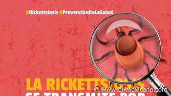 Advierte Gobierno de Ensenada sobre las enfermedades zoonóticas - El Mexicano