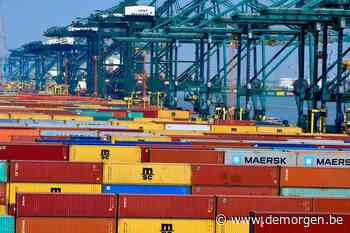 Ook Rotterdam kent een zomer vol drugsgeweld, maar toch kan Antwerpen iets van de havenstad leren - De Morgen