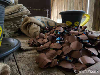 Les chars sont prêts pour le Grand Corso de la Fête des Saisons - RJB