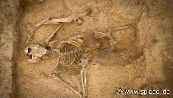 (S+) Archäologie: Das Geheimnis der Knochen von Waterloo - DER SPIEGEL