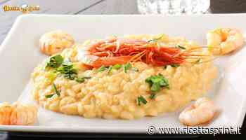 Risotto alla crema di scampi, la ricetta da veri chef - RicettaSprint