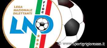 SERIE D Il Crema cede alla Pro Sesto in amichevole - SportGrigiorosso