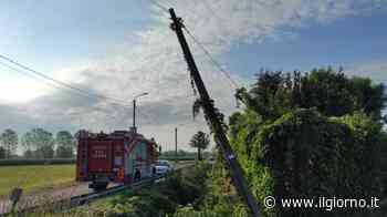 Crema, forti raffiche di vento: palo della luce a rischio - IL GIORNO