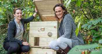 Dierenasiel 't Kattenkwaad krijgt Vlaamse subsidies | Izegem | hln.be - Het Laatste Nieuws