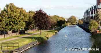 Body of man recovered from canal in Dublin as gardai launch investigation - Dublin Live