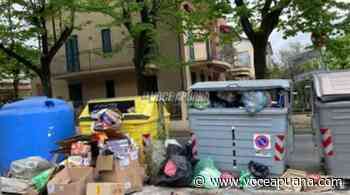 La lettera di denuncia di una cittadina: «Sporcizia, se Massa piange Marina non ride» - La Voce Apuana