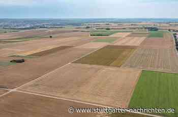 Bebauungspläne in Sindelfingen: Klimaschutz braucht Vorfahrt - Böblingen - Stuttgarter Nachrichten