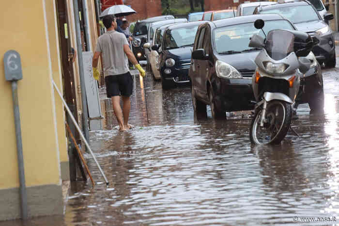 Maltempo: Ferrara, salgono a sette le famiglie sfollate - Agenzia ANSA