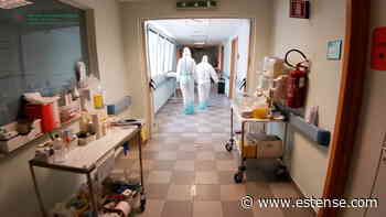 Covid: a Ferrara e provincia altri 258 positivi | estense.com Ferrara - Estense.com