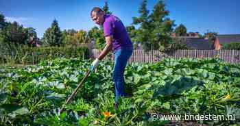 In Musselkanaal weten ze al 30 jaar: voor een azc hoef je echt niet bang te zijn - BN DeStem