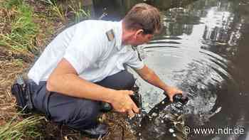 Westmecklenburg: Keine weiteren toten Fische entdeckt - Polizei ermittelt - NDR.de