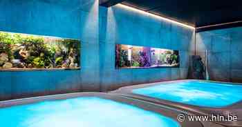 TUSSEN DE STERREN IN LUXEHOTELS. Thermen in Dilbeek, waar BV's kind aan huis zijn: “Wekelijks vullen we een bad of hotelkamer met rozenblaadjes” - Het Laatste Nieuws