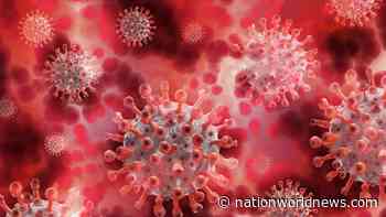 You Can Get Reinfected With The Omicron Type Of Coronavirus More Than Once In A Few Weeks - Nation World News