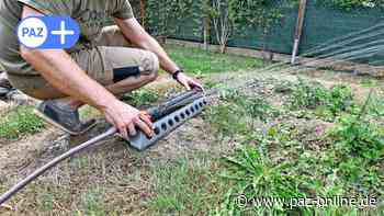 Kreis Peine verbietet Bewässerung in den Nachmittagsstunden: Hohe Strafen drohen - Peiner Allgemeine Zeitung - PAZ-online.de