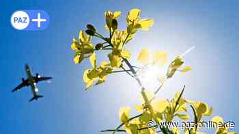 Umwelttag in Peine: Landkreis rückt Klimaschutz in den Fokus - Peiner Allgemeine Zeitung - PAZ-online.de