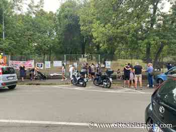 Il parere di Ispra: “Immediata cattura e macellazione per i cinghiali della Maggiolina”. Ma lo stallo continua - CittaDellaSpezia