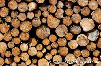 Scheine beim Förster - Brennholzklau geht um - inSüdthüringen