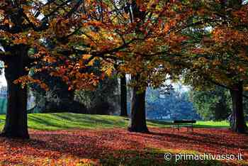 Musica a tutto volume al parco, blitz della polizia - Prima Chivasso