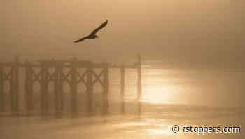 Seven Essential Photography Lessons