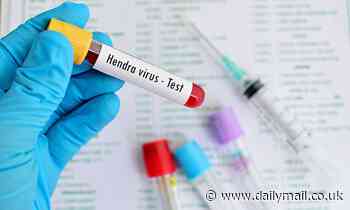 'Holy grail' trialled by NHS could save thousands of lives by detecting cancer before symptoms show