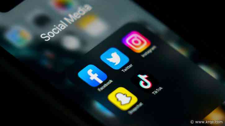 Midterm elections to put misinformation policies to the test