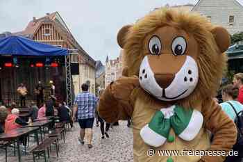 Altstadtfest in Mittweida: Die News vom Party-Wochenende - freiepresse.de