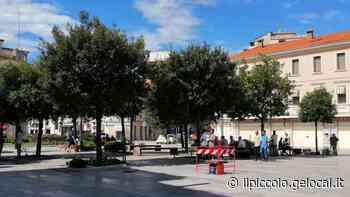 In 649 firmano la petizione per salvare i lecci di Monfalcone - Il Piccolo