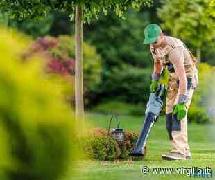 Nuove opportunità di lavoro nel Comune di Monfalcone: le domande - Virgilio